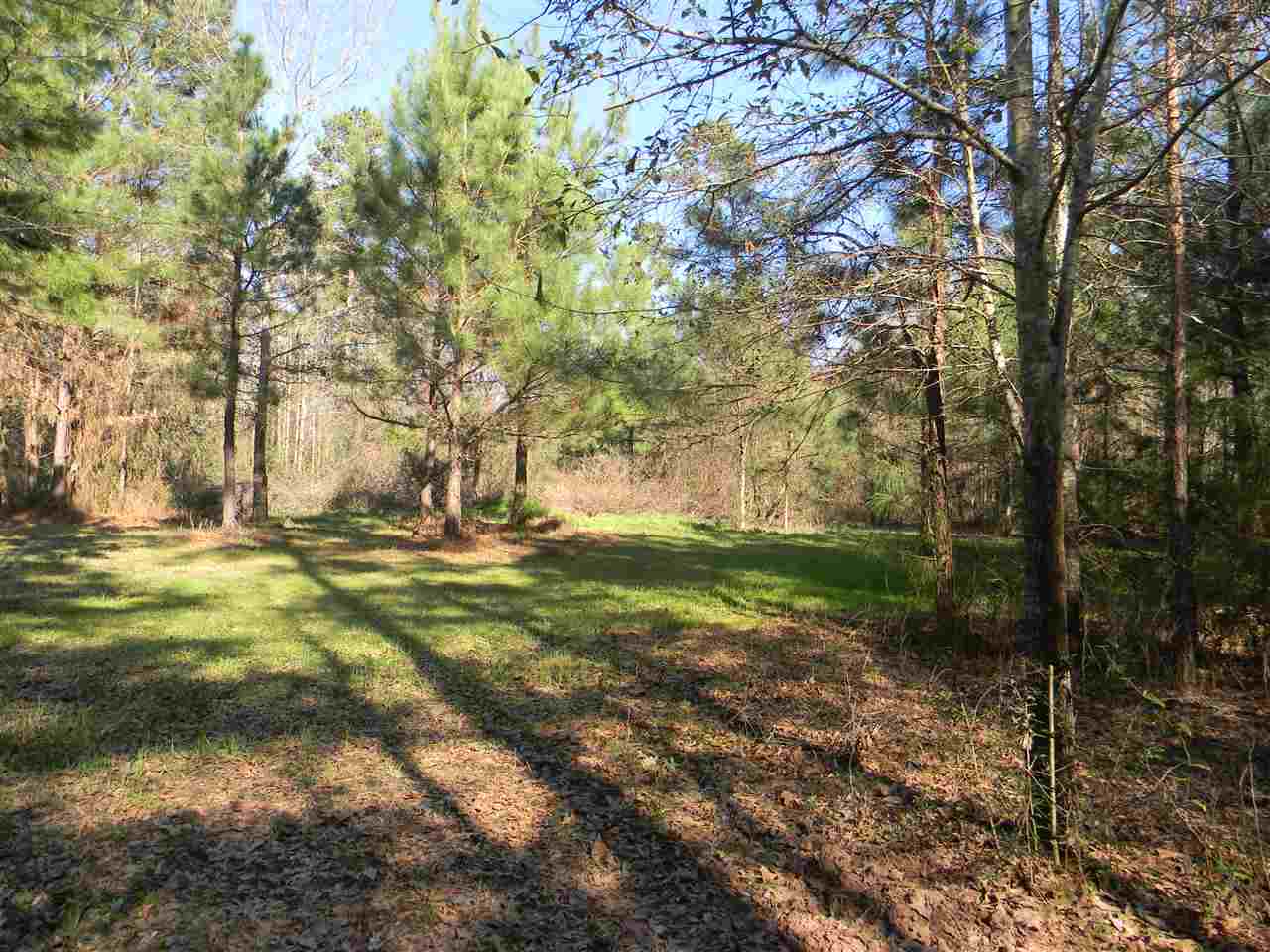 147 CR 195, Gary, TX 75643