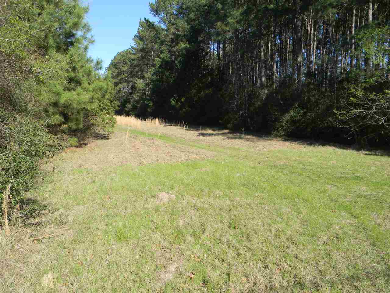 147 CR 195, Gary, TX 75643