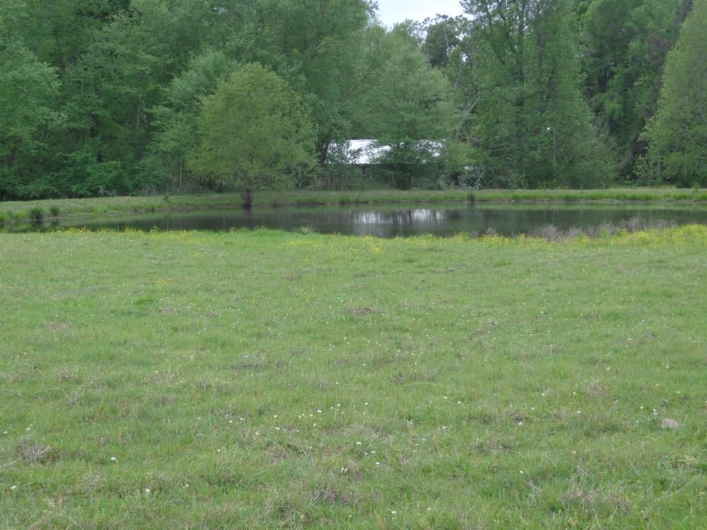 Fm 49 exact address TBD, Gilmer, TX 75644