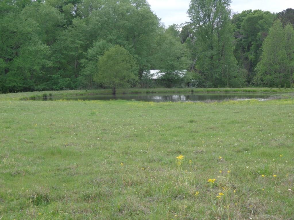 Fm 49 exact address TBD, Gilmer, TX 75644