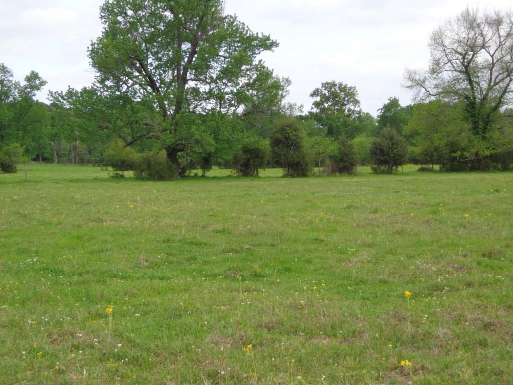Fm 49 exact address TBD, Gilmer, TX 75644