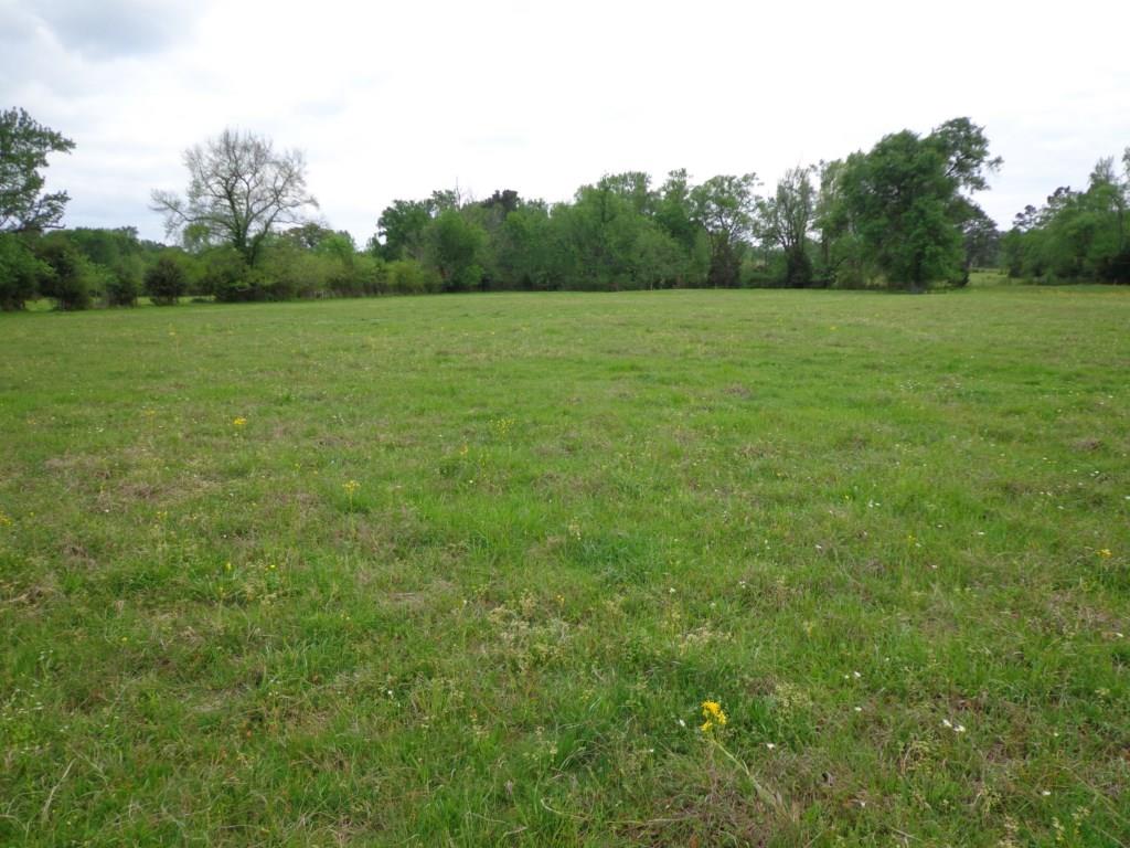 Fm 49 exact address TBD, Gilmer, TX 75644