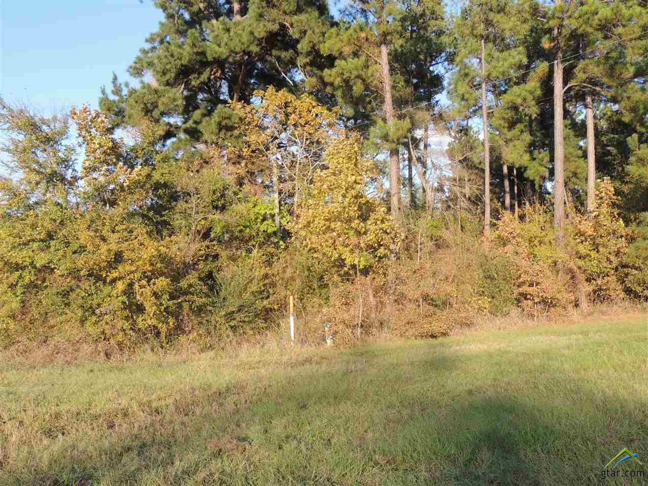 Tbd Fm 838, Overton, TX 75684