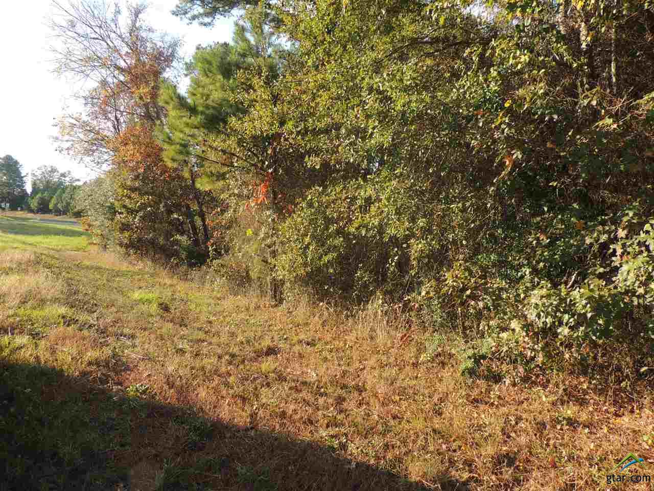 Tbd Fm 838, Overton, TX 75684
