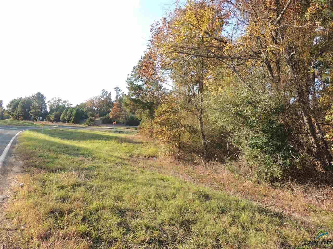 Tbd Fm 838, Overton, TX 75684