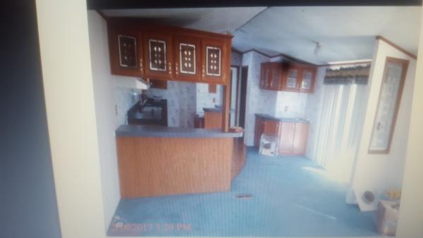 no address ,TX, Pittsburg, 75686