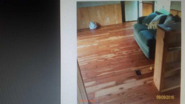 no address ,TX, Tatum, 75691