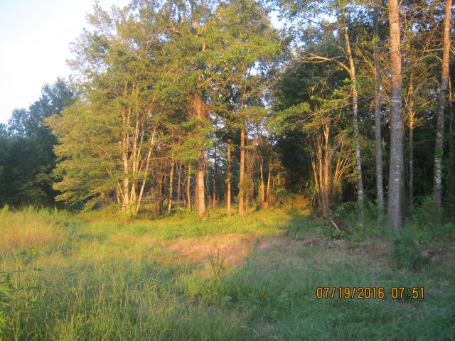 Lotta Rd, Waskom, TX 75692