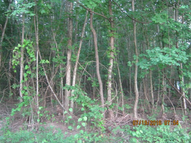 Lotta Rd, Waskom, TX 75692