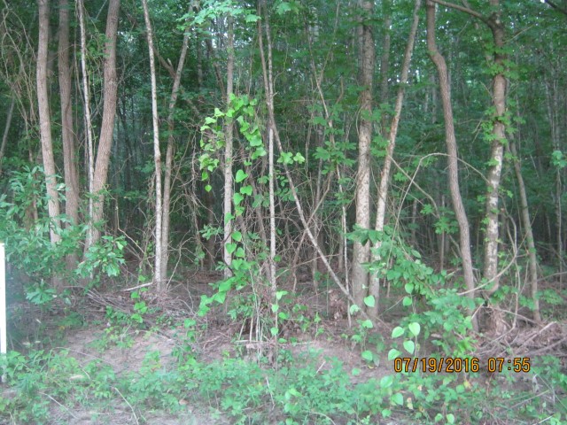 Lotta Rd, Waskom, TX 75692