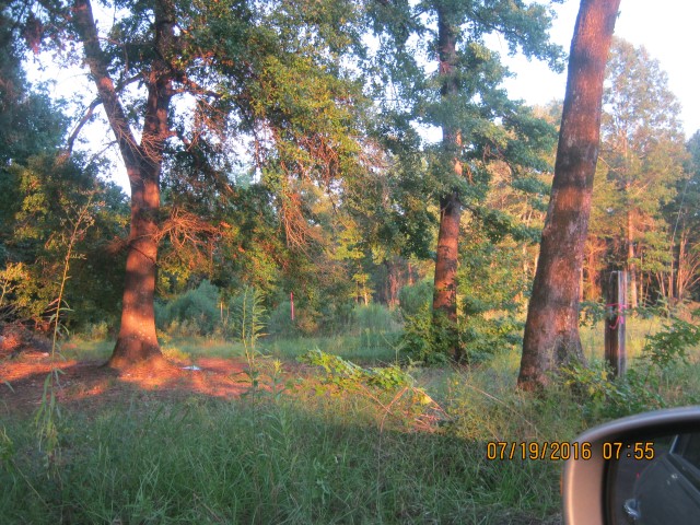 Lotta Rd, Waskom, TX 75692