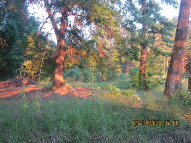 Lotta Rd, Waskom, TX 75692