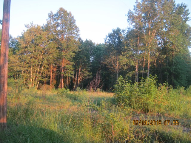 Lotta Rd, Waskom, TX 75692