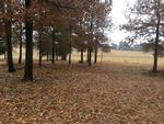 14691 CR3147 ,TX, Tyler, 75706