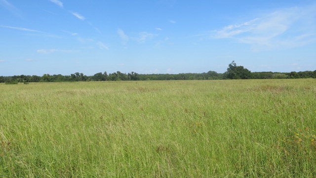 440 FM 59, Athens, TX 75751