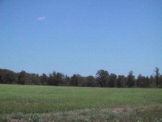 0 CR 4702, Athens, TX 75751