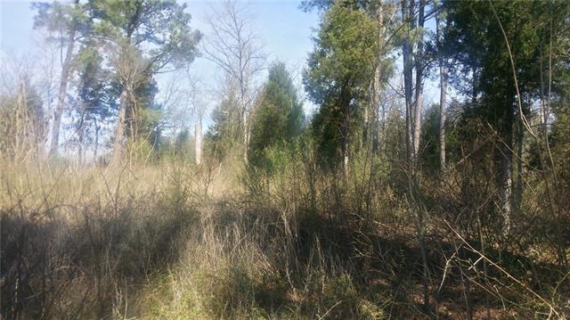 Lt 331 Grand View Drive, Athens, TX 75752