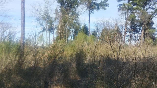 Lt 331 Grand View Drive, Athens, TX 75752
