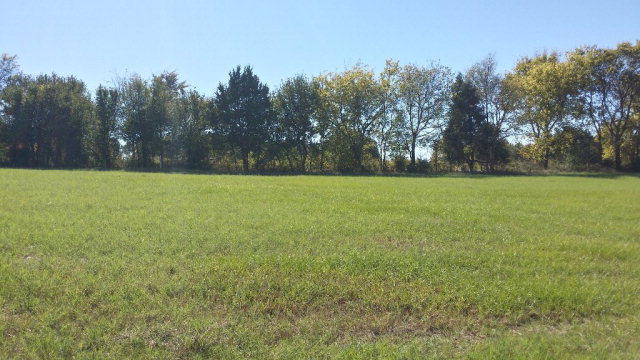 lt 84 Saddle Ridge Court, Athens , TX 75752