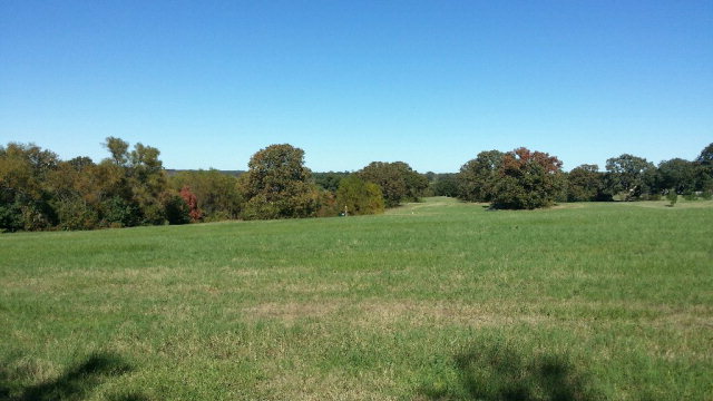 lt 84 Saddle Ridge Court, Athens , TX 75752