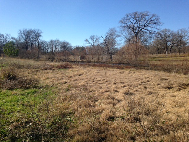 4310 CR 4803, Athens, TX 75752
