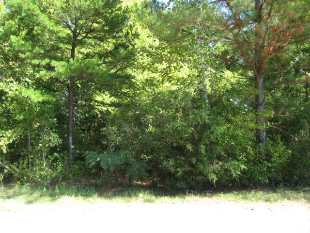 000 CR 3600, Brownsboro, TX 75756