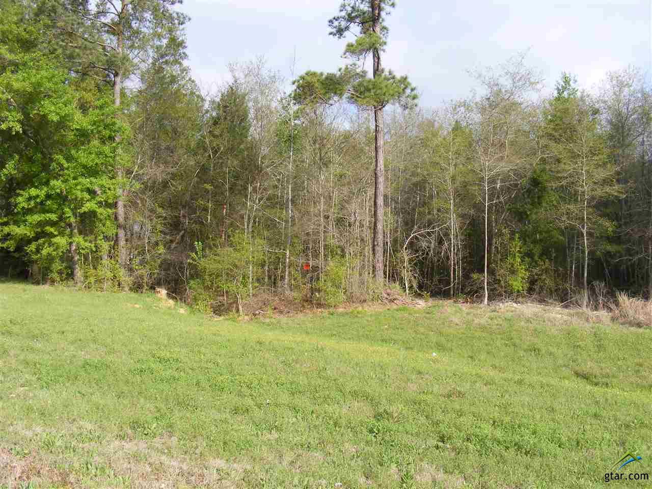19531 Sh 31 E, Brownsboro, TX 75756
