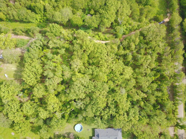 9205 CR 3418, Brownsboro, TX 75756