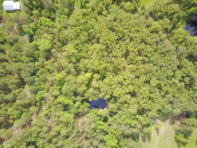 9205 CR 3418, Brownsboro, TX 75756