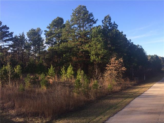 N/A Barrel Roll Trail, Berryville, TX 75763