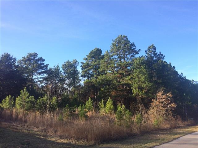 N/A Barrel Roll Trail, Berryville, TX 75763