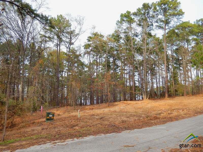 6817 Carene Dr., Frankston, TX 75763