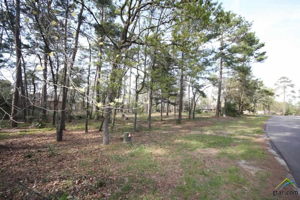 Lots 8 & 9 Sec 4 Greenbriar Trail, Holly Lake Ranch, TX 75765