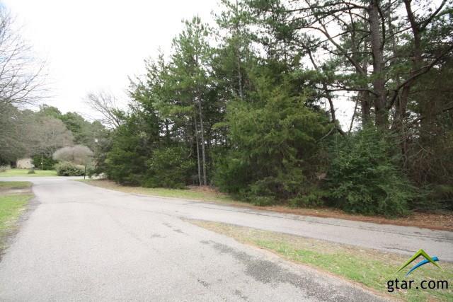 Sec 4 Lot 520 Lot 520, Holly Lake Ranch, TX 75765