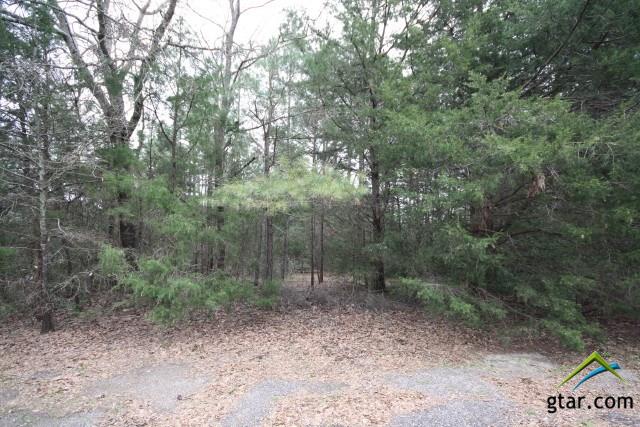 Sec 4 Lot 520 Lot 520, Holly Lake Ranch, TX 75765