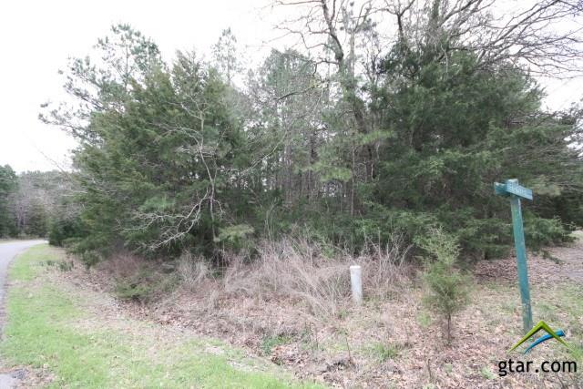 Sec 4 Lot 520 Lot 520, Holly Lake Ranch, TX 75765