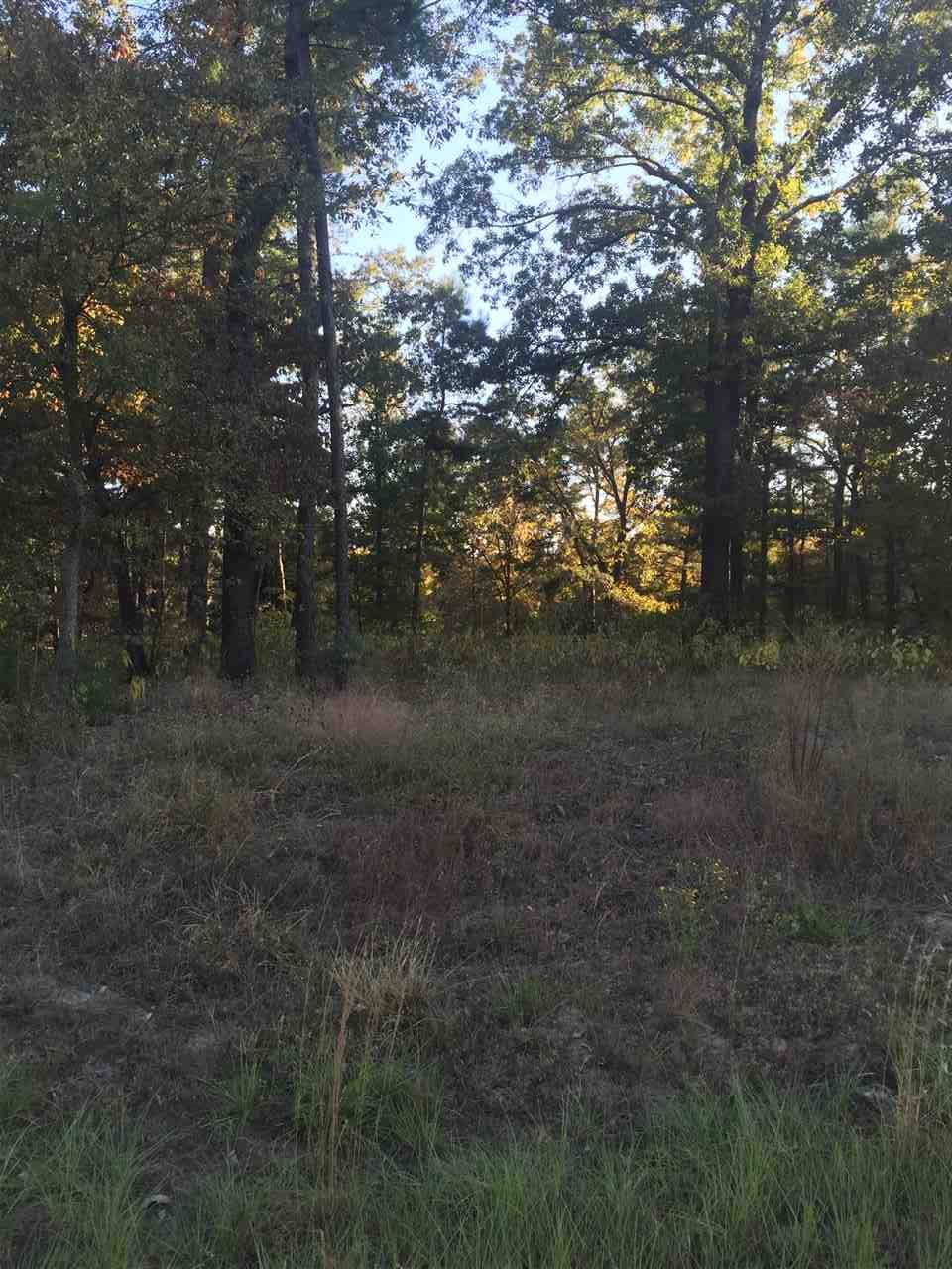 LOT 7 WOOD CREEK ESTATES, Hawkins, TX 75765