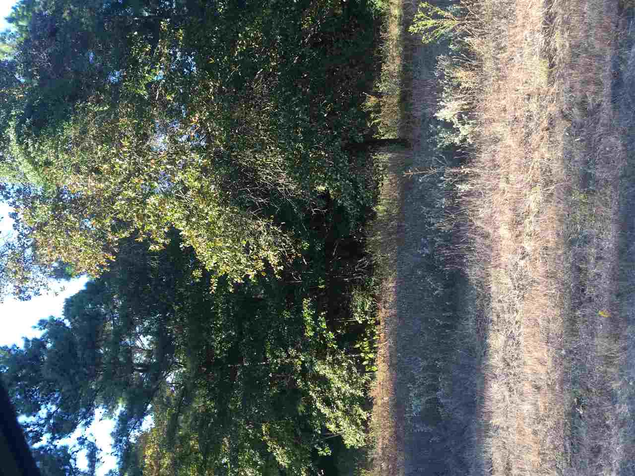 LOT 7 WOOD CREEK ESTATES, Hawkins, TX 75765