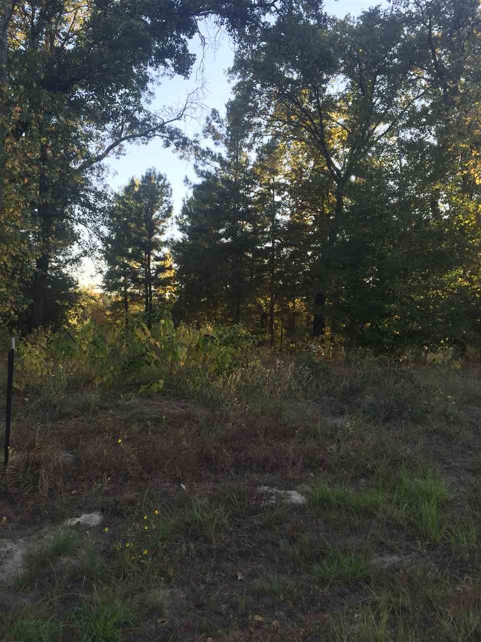LOT 7 WOOD CREEK ESTATES, Hawkins, TX 75765