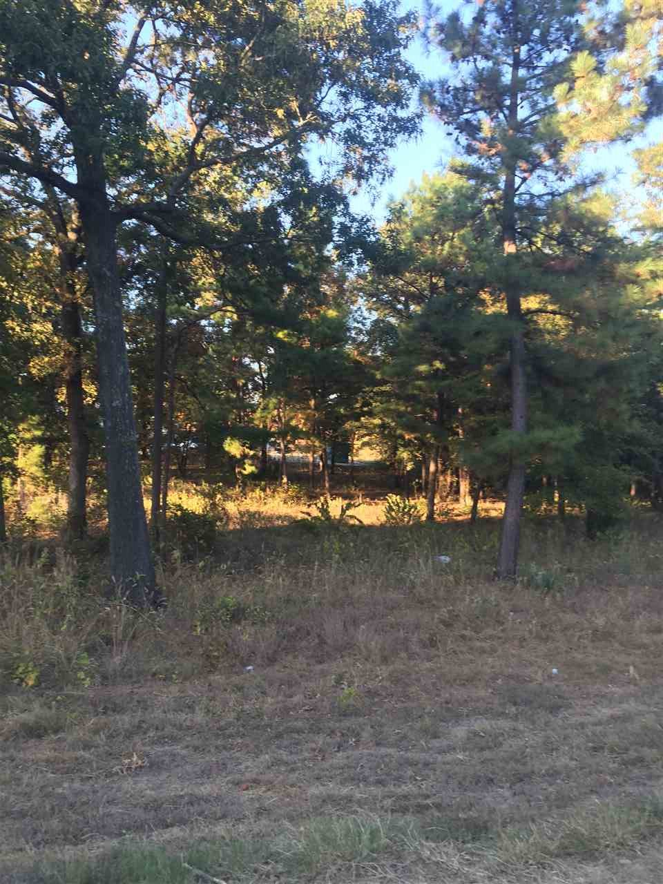 lot 5 WOOD CREEK ESTATES, Hawkins, TX 75765
