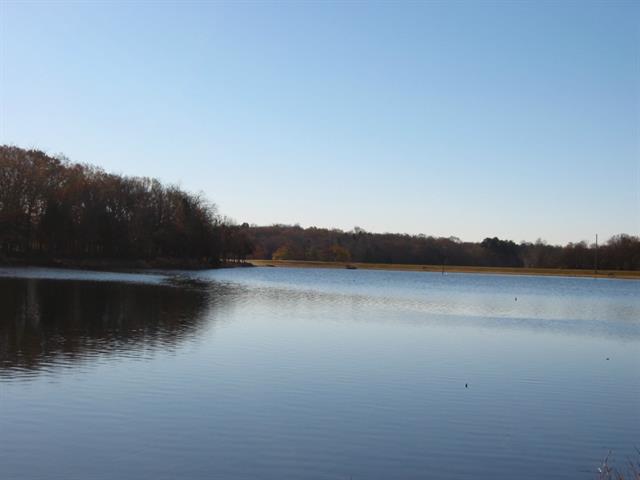 Lot 19 Trophy Pointe, Larue, TX 75770