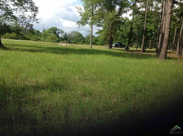 24281 Stallion Park Place, Lindale, TX 75771