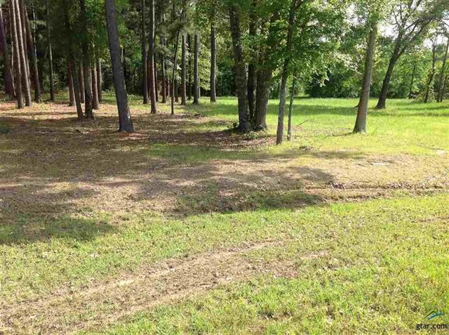 24281 Stallion Park Place, Lindale, TX 75771