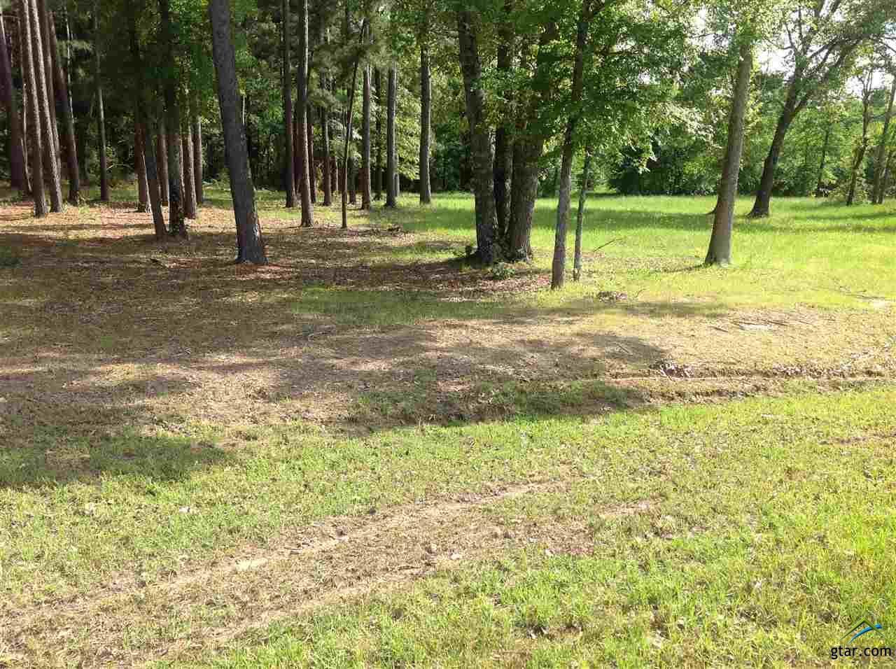 24281 Stallion Park Place, Lindale, TX 75771
