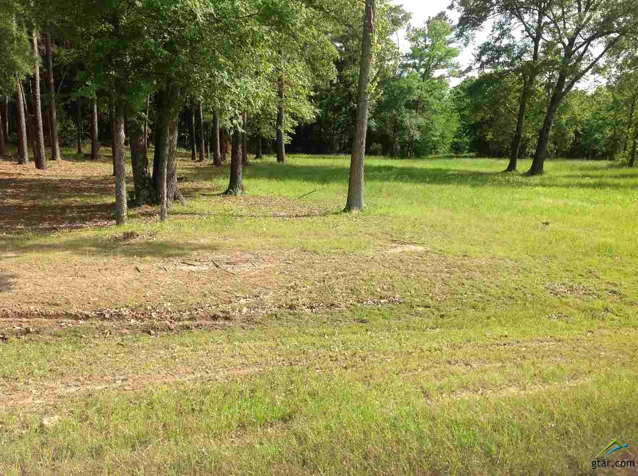 24281 Stallion Park Place, Lindale, TX 75771