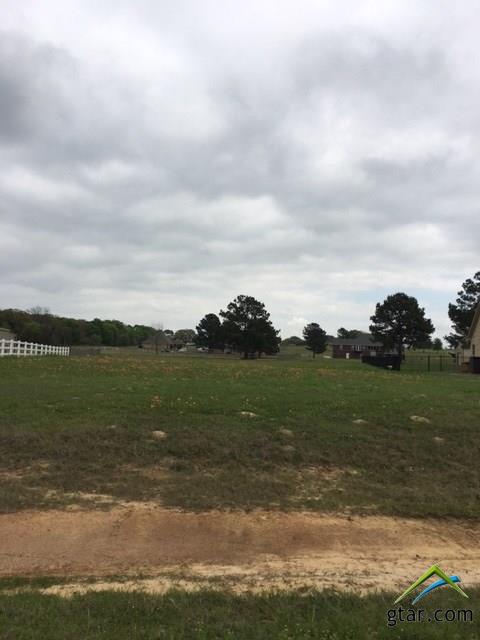 16370 Stallion Shores Court, Lindale, TX 75771