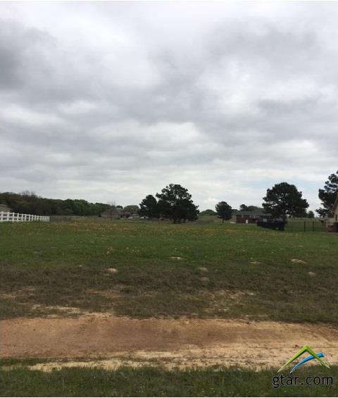 16370 Stallion Shores Court, Lindale, TX 75771