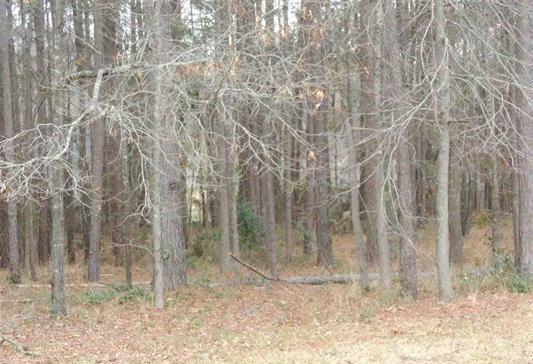 15909 Shepards, Lindale, TX 75771