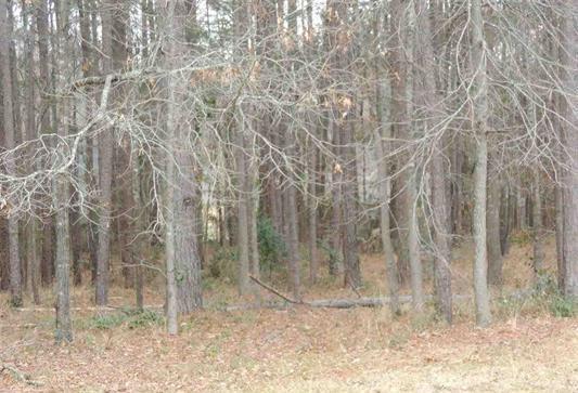 15909 Shepards, Lindale, TX 75771