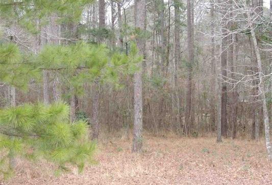 15909 Shepards, Lindale, TX 75771